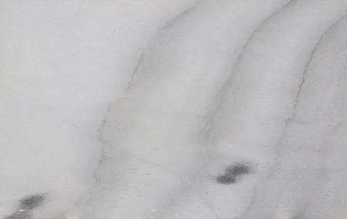 Bianco Waves polished slab