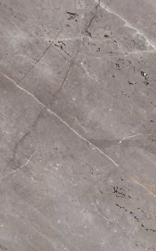 Carnival Grey II slab