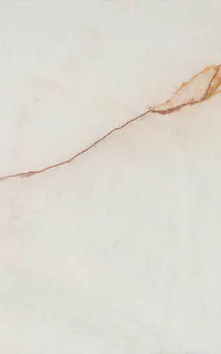 Crema Delicatus Onyx slab