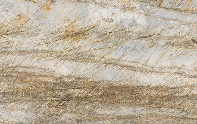 Fossil Element polished slab