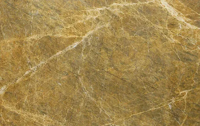 Golden Fenix polished slab