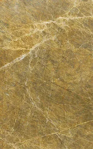 Golden Fenix slab