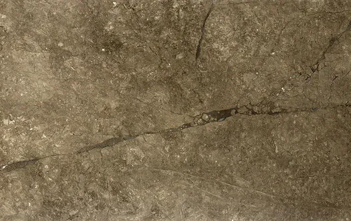 Grey William Italy polished slab
