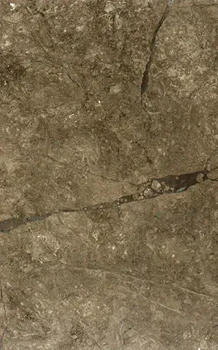 Grey William Italy slab