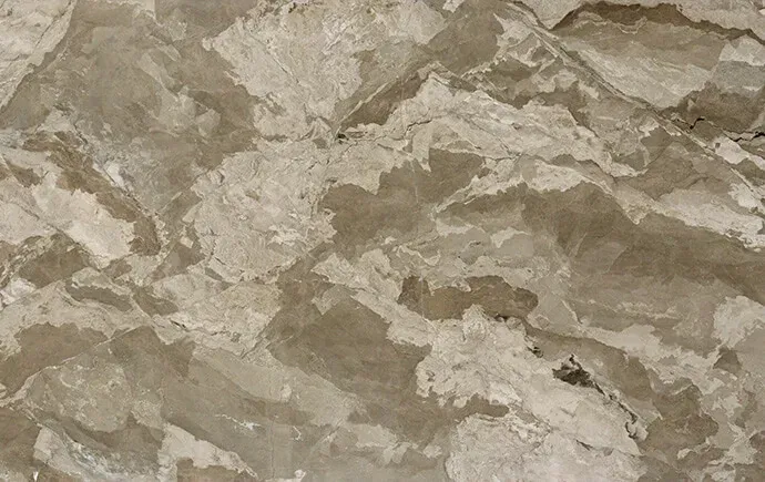Grigio Coralito polished slab