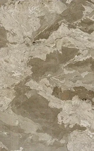 Grigio Coralito slab