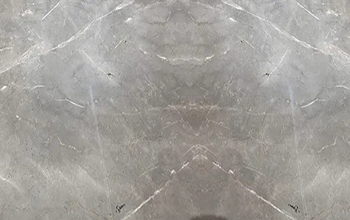 Picasso Grey polished slab