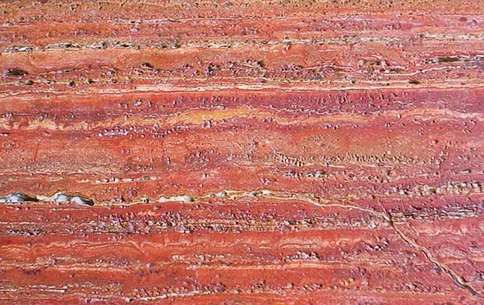Red Travertine polished slab