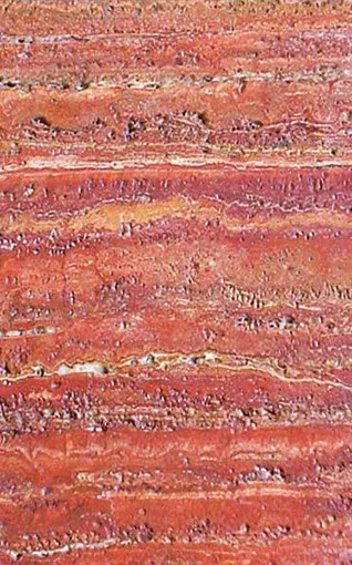 Red Travertine slab